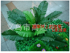 仿真植物铁树叶 波斯草蕨类观赏植物办公室客厅装饰 铁树绿色蕨草