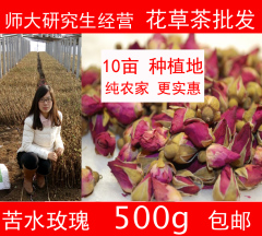 苦水玫瑰茶包邮甘肃苦水玫瑰 特产无硫干玫瑰花茶每袋500g原产地