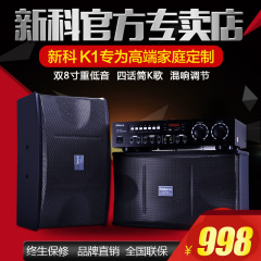 Shinco/新科 K 1家用音响KTV专业卡拉OK套装舞台卡包会议音箱