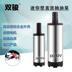 双骏小型便携式12V/24V电动直流加油泵潜水泵抽油机抽水机微型