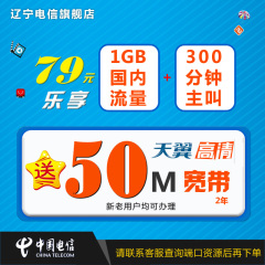 沈阳特惠 月消费79元：送50M光纤宽带 天翼高清 乐享4G99元套餐