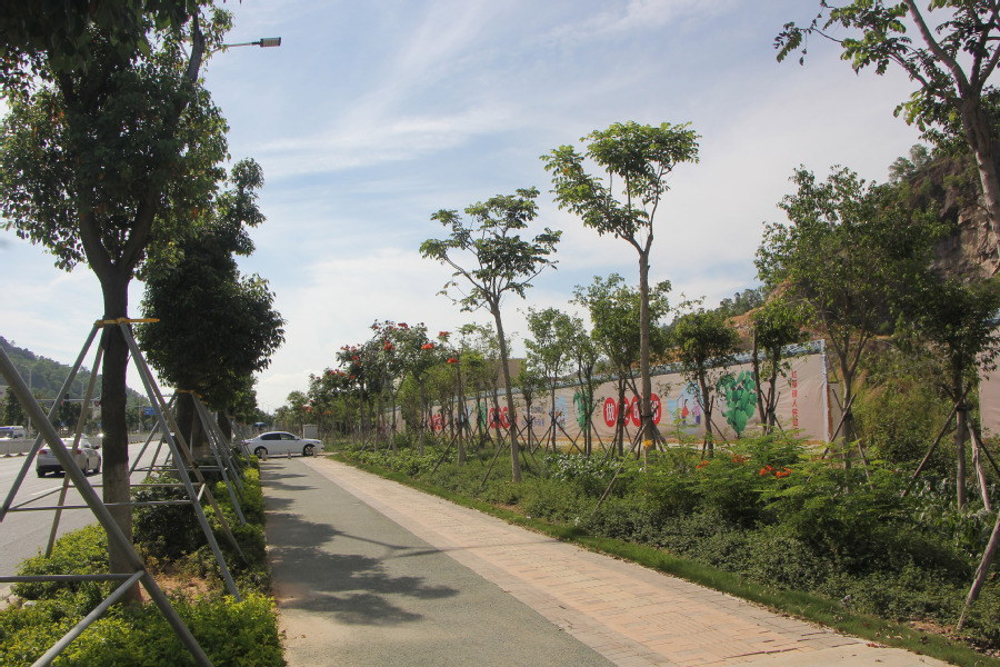 汕尾市城区红草镇海汕公路边土地使用权 - 司法拍卖 - 阿里拍卖