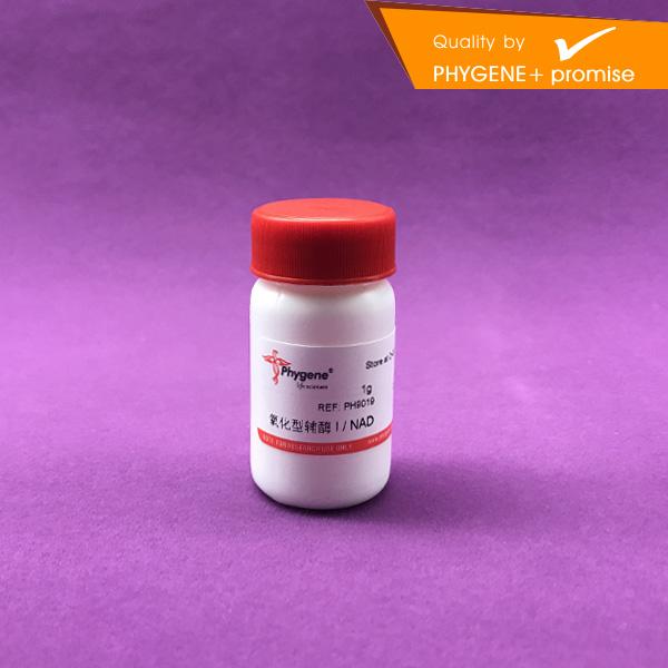 PH9019 氧化型輔酶 I / NAD 二磷酸吡啶核甘酸 實驗 1g Phygene在類目 辦公設備/耗材/相關服務, 其它耗材, 其它中 - 來自Buy2taobao.com提供專業的淘寶代購服務