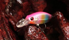 鱼猎人刀锋DM4C 米诺Minnow/75mm/9.7g/浮水/1.0m/路亚假饵 硬饵