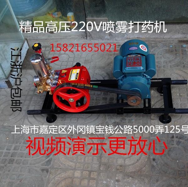 担架式高压机动喷雾机/喷雾器/打药机/ 电动机+三缸柱塞泵在类目 鲜花速递/花卉仿真/绿植园艺, 园艺用品, 小型喷雾壶中 - 来自Buy2taobao.com提供专业的淘宝代购服务