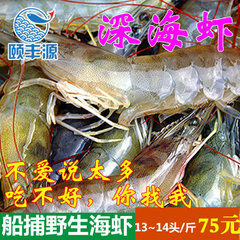 海虾对虾 大连野生冰鲜水产鲜活海捕新鲜宝宝辅食海鲜大 13/14头