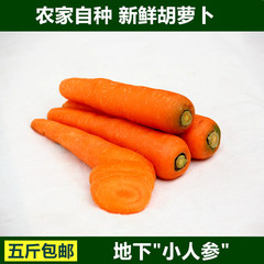 农家自种新鲜胡萝卜非转基因绿色蔬菜胡萝卜 原生态水果胡萝卜
