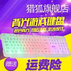 猎狐三色背光有线键盘台式电脑笔记本通用USB防水游戏键盘发光