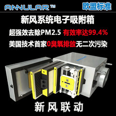 ANNULAR正品PT-400去除PM2.5除雾霾过滤箱新风系统前置电子净化箱