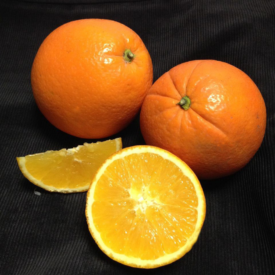 自家果园赣南脐橙 橙子20斤9省包邮无公害绿色食品水果 秋实果园