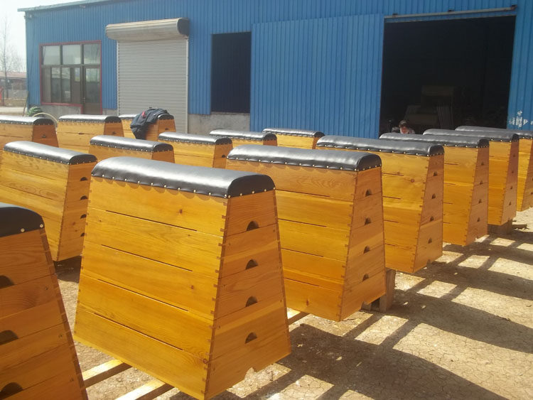 亚华健恒体育器材商城的优惠券大全—学校专用达标器材比赛跳箱 小