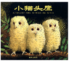小猫头鹰——信谊世界精选图画书