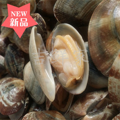丹东东港特产原汁真空杂色蛤花蚬子花蛤即食海鲜出口日本无沙