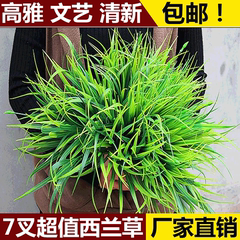 仿真花植物盆景西兰草把花束栅栏套装麦苗草客厅家居装饰绿植小花