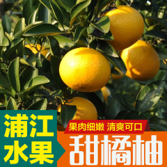 浦江特产甜橘柚新鲜橘柚个大鲜甜庆元桔柚果肉细嫩柚子水果8斤