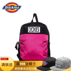 Dickies2015秋季新品 时尚休闲双肩包 男女背包旅行包153U90EC44