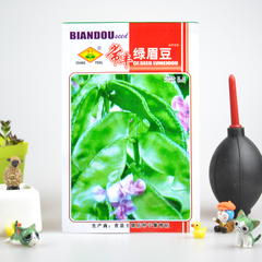 阳台蔬菜种子 耐寒扁豆种子 园艺盆栽菜种菜籽 家庭种植叶菜