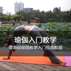 瑜伽视频教程 零基础入门瑜伽健身瘦身美体舒心瑜伽视频免费试看