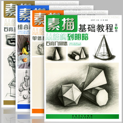 正版包邮 素描基础教程全套4册 从结构到明暗 单体组合静物石膏头像几何体 绘画技法入门美术艺术高考试必备手绘铅笔画畅销教材书