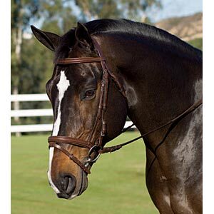 aviemore水勒缰(水勒_aviemore水勒缰(水勒品牌_avi