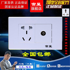 宫呈墙壁电源开关插座面板 118型雅白系列 二位电视 五孔插座