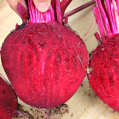 10斤装 新鲜甜菜根 红菜头 蔬菜酵素粉胡箩卜生鲜农产品 甜菜头