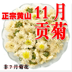 花草茶 正宗11月黄山贡菊花 特级白菊花杭白菊花花农直销批发包邮