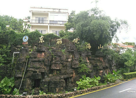 【第一次】深圳市葵涌镇土洋村东丽观海山庄a1型10栋房产