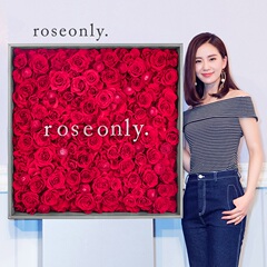 roseonly刘诗诗同款定制版超大巨型嫣红永生玫瑰送爱人送情人