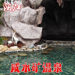 【预订后1小时可进园】阳江阳西咸水矿温泉旅游度假山庄电子门票