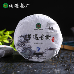 【春茶古树】福海16年景迈春茶古树纯料普洱茶生茶100g