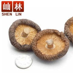 媪窒愎500g 金钱菇 优质冬菇 肉厚根短 东北特产优质蘑菇