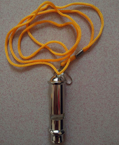 超声波口哨训鸽图片