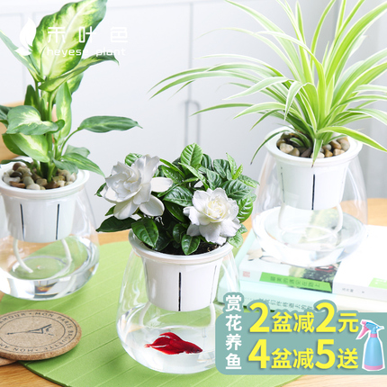 綯类ůĦгּ޼ӺƿӴɹ 19.90Ԫ