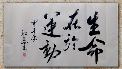 【公益拍】生命在于运动书法作品行书三尺横幅为孩子修建新操场