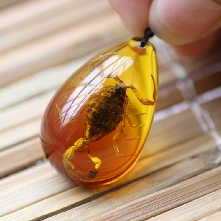 渐变色大蝎子琥珀项链昆虫标本吊坠创意个性装饰品儿童节生日礼物