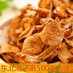 东北滑子蘑 滑子菇 干货 500g 野生天然晾晒 长白山蘑菇 包邮