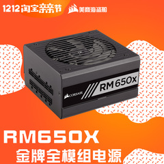 国行 美商海盗船 RM650X 金牌全模组台式机电源 额定650W瓦 RM650