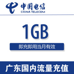 广东电信流量充值卡 全国1G流量包流量3g4g手机卡上网加油包