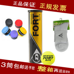 Dunlop/邓禄普 Fort Elite 网球 3/4粒铁罐装  高级训练比赛网球