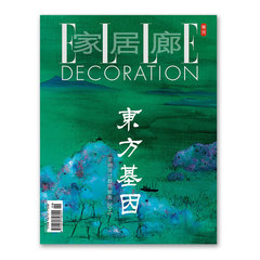 增刊 亚洲设计趋势报告 ELLE DECORATION家居廊 2015年杂志
