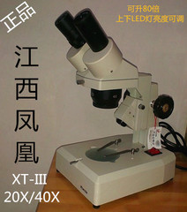 正品江西凤凰体视显微镜XT-III双目20-40倍两档可升80或160倍维修