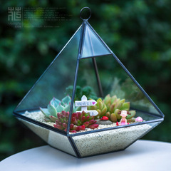 玻璃多肉龙猫微景观几何花房植物盆栽创意礼品生态瓶DIY生日包邮