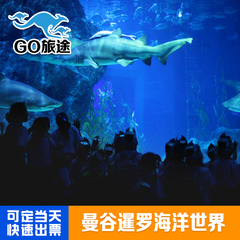 泰国曼谷暹罗海洋世界 暹罗水族馆Siam Ocean World 可定当天