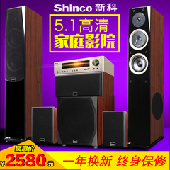 Shinco/新科 N 85.1家庭影院高清电视木质音响套装HIFI无线接收器