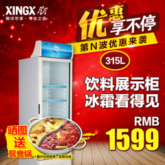 XINGX/星星 LSC-315C冰柜 冷柜商用饮料展示柜冷藏立式保鲜陈列柜