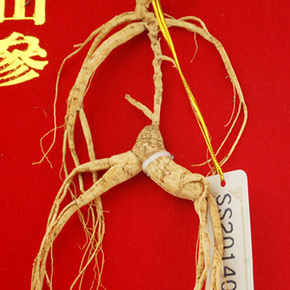 吉林融泽参茸拍卖会野山参专场_珍品拍卖 - 拍卖专场 - 阿里拍卖