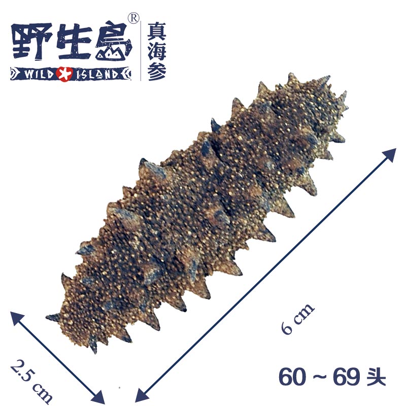Wild island wild Short dry sea cucumber Dried sea cucumber Long Island sea cucumber Deep Sea Fishing 500gin the Aquatic meat/Fresh fruits and vegetables/Cooked , Seafood/Aquatic/Product , Sea cucumber category - from Buy2taobao.com to provide professional Taobao agent buy service