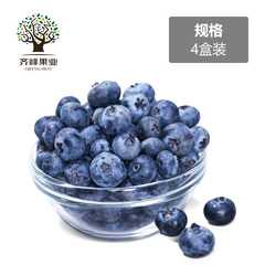 齐峰缘智利蓝莓4盒 新鲜蓝莓鲜果浆 进口水果 新鲜水果