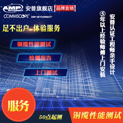 AMP安普铜缆性能测试光纤测试 光纤性能测试福禄克测试测试服务